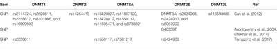 DNMT3A and DNMT3B in Breast Tumorigenesis and Potential Therapy